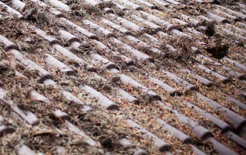 Shelthorpe roof cleaning companies