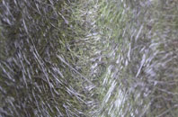 Shelthorpe fibreglass roof work